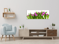 Glasdekor Obraz skleněný květy růžovo fialové tulipány - Rozměry-obdélník: 30 x 60 cm