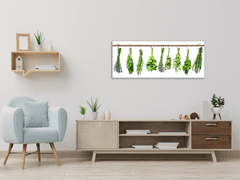Glasdekor Obraz skleněný bylinky visí na tyči - Rozměry-obdélník: 60 x 70 cm