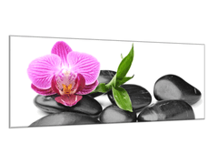 Glasdekor Obraz skleněný květ růžová orchidej, bambus, černý kámen - Rozměry-obdélník: 34 x 72 cm