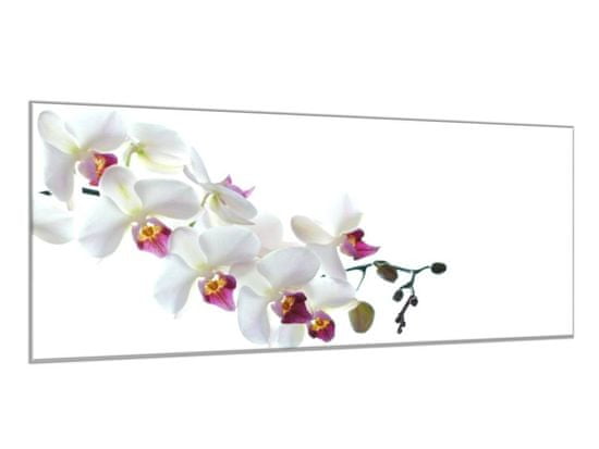 Glasdekor Obraz skleněný větev květů bílo růžové orchideje