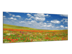 Glasdekor Obraz skleněný louka vlčích máků pod nebem - Rozměry-obdélník: 30 x 60 cm