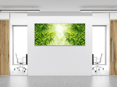 Glasdekor Obraz na skle detail listů bambusový les - Rozměry-obdélník: 70 x 90 cm