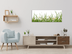 Glasdekor Obraz skleněný sedmikrásky v trávě - Rozměry-obdélník: 40 x 60 cm