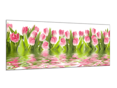 Glasdekor Obraz skleněný květy růžové tulipány v hladině vody - Rozměry-obdélník: 30 x 60 cm