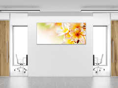 Glasdekor Obraz skleněný žluté květy plumerie - Rozměry-obdélník: 60 x 70 cm
