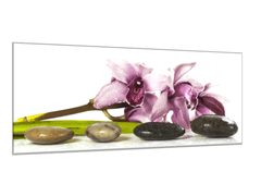 Glasdekor Obraz skleněný květ fialova exotická orchidej a kameny - Rozměry-obdélník: 70 x 90 cm