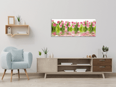 Glasdekor Obraz skleněný květy růžové tulipány v hladině vody - Rozměry-obdélník: 30 x 60 cm