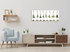 Glasdekor Obraz do kuchyně čerstvé bylinky visí na laně - Rozměry-obdélník: 70 x 90 cm
