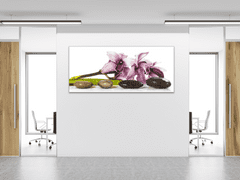 Glasdekor Obraz skleněný květ fialova exotická orchidej a kameny - Rozměry-obdélník: 70 x 90 cm