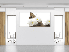 Glasdekor Obraz skleněný bílé květy, motýl, oblázky - Rozměry-obdélník: 60 x 90 cm