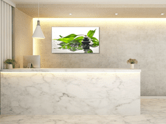 Glasdekor Obraz skleněný zelené listy a kameny zen - Rozměry-obdélník: 55 x 110 cm