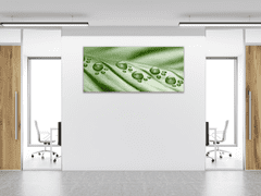 Glasdekor Obraz skleněný rosa na zeleném listu - Rozměry-obdélník: 60 x 70 cm