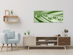 Glasdekor Obraz skleněný rosa na zeleném listu - Rozměry-obdélník: 60 x 70 cm