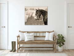 Glasdekor Obraz ze skla zamilovaný kůň bílý a černý - Rozměry-čtverec: 70 x 70 cm
