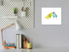 Glasdekor Obraz skleněný papoušek zamilované andulky - Rozměry-čtverec: 40 x 40 cm