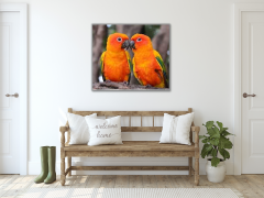 Glasdekor Obraz skleněný papoušek aratinga sluneční - Rozměry-čtverec: 40 x 40 cm
