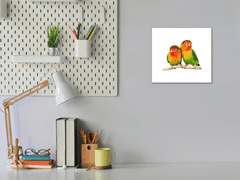 Glasdekor Obraz skleněný papoušek agapornis - Rozměry-čtverec: 60 x 60 cm