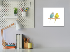 Glasdekor Obraz skleněný andulky - papoušek - Rozměry-čtverec: 100 x 100 cm