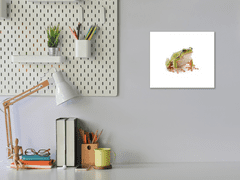 Glasdekor Obraz skleněný žába rosnička - Rozměry-čtverec: 60 x 60 cm