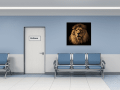 Glasdekor Obraz skleněný hlava lva - Rozměry-čtverec: 40 x 40 cm