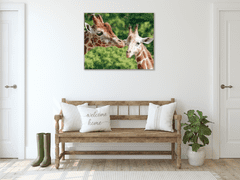 Glasdekor Obraz skleněný žirafy - Rozměry-čtverec: 65 x 65 cm