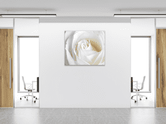 Glasdekor Obraz skleněný čtvercový detail květu bílé růže - Rozměry-čtverec: 70 x 70 cm