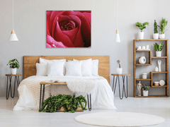Glasdekor Obraz skleněný čtvercový detail květu červené růže - Rozměry-čtverec: 80 x 80 cm