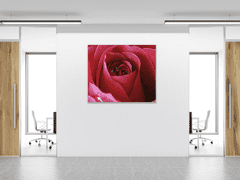 Glasdekor Obraz skleněný čtvercový detail květu červené růže - Rozměry-čtverec: 80 x 80 cm