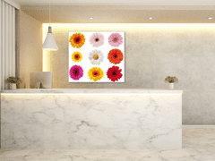 Glasdekor Obraz skleněný čtvercový barevné květy gerber jednotlivě - Rozměry-čtverec: 60 x 60 cm