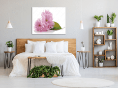 Glasdekor Obraz skleněný čtvercový růžový květ mandloně - Rozměry-čtverec: 40 x 40 cm