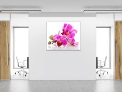 Glasdekor Obraz skleněný čtvercový poupata a květy růžové orchideje - Rozměry-čtverec: 40 x 40 cm