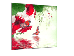 Glasdekor Obraz skleněný čtvercový červené gerbery a motýl nad hladinou - Rozměry-čtverec: 40 x 40 cm