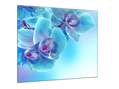 Glasdekor Obraz skleněný čtvercový květ modrá orchidej a modrý stín - Rozměry-čtverec: 100 x 100 cm