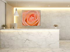 Glasdekor Obraz skleněný čtvercový detail květu čajové růže - Rozměry-čtverec: 65 x 65 cm