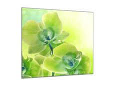 Glasdekor Obraz skleněný čtvercový květ žluto zelená orchidej a stín - Rozměry-čtverec: 70 x 70 cm