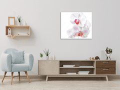 Glasdekor Obraz skleněný čtvercový květy růžovo bílá orchidej - Rozměry-čtverec: 65 x 65 cm