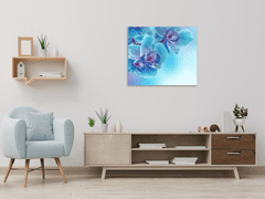 Glasdekor Obraz skleněný čtvercový květ modrá orchidej a modrý stín - Rozměry-čtverec: 100 x 100 cm