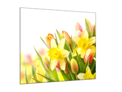 Glasdekor Skleněný obraz na zeď květy narcisů a tulipánů - Rozměry-čtverec: 70 x 70 cm