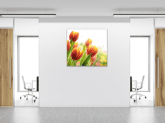 Glasdekor Obraz skleněný čtvercový červeno žluté tulipány - Rozměry-čtverec: 90 x 90 cm