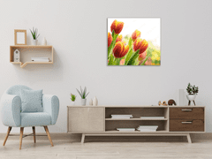 Glasdekor Obraz skleněný čtvercový červeno žluté tulipány - Rozměry-čtverec: 90 x 90 cm