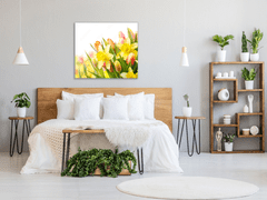 Glasdekor Skleněný obraz na zeď květy narcisů a tulipánů - Rozměry-čtverec: 70 x 70 cm