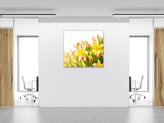 Glasdekor Skleněný obraz na zeď květy narcisů a tulipánů - Rozměry-čtverec: 70 x 70 cm