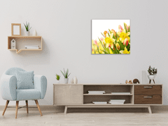 Glasdekor Skleněný obraz na zeď květy narcisů a tulipánů - Rozměry-čtverec: 70 x 70 cm