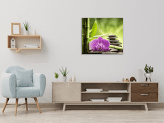 Glasdekor Obraz skleněný čtvercový bambus, orchidej a kámen - Rozměry-čtverec: 65 x 65 cm