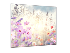 Glasdekor Obraz skleněný čtvercový malované růžové a červené luční kvítí - Rozměry-čtverec: 40 x 40 cm
