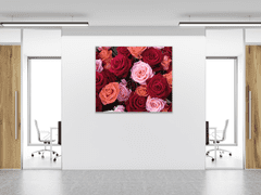 Glasdekor Obraz skleněný čtvercový detail květů červených a růžových růží - Rozměry-čtverec: 70 x 70 cm