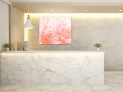 Glasdekor Obraz skleněný čtvercový detail květu růžové gerbery - Rozměry-čtverec: 65 x 65 cm