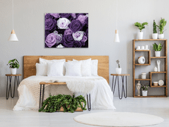 Glasdekor Obraz skleněný čtvercový detail květy fialových růží - Rozměry-čtverec: 70 x 70 cm