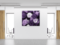 Glasdekor Obraz skleněný čtvercový detail květy fialových růží - Rozměry-čtverec: 70 x 70 cm