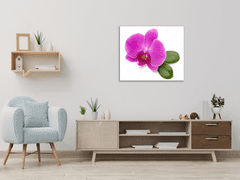 Glasdekor Obraz skleněný čtvercový květ fialové orchideje a list - Rozměry-čtverec: 60 x 60 cm